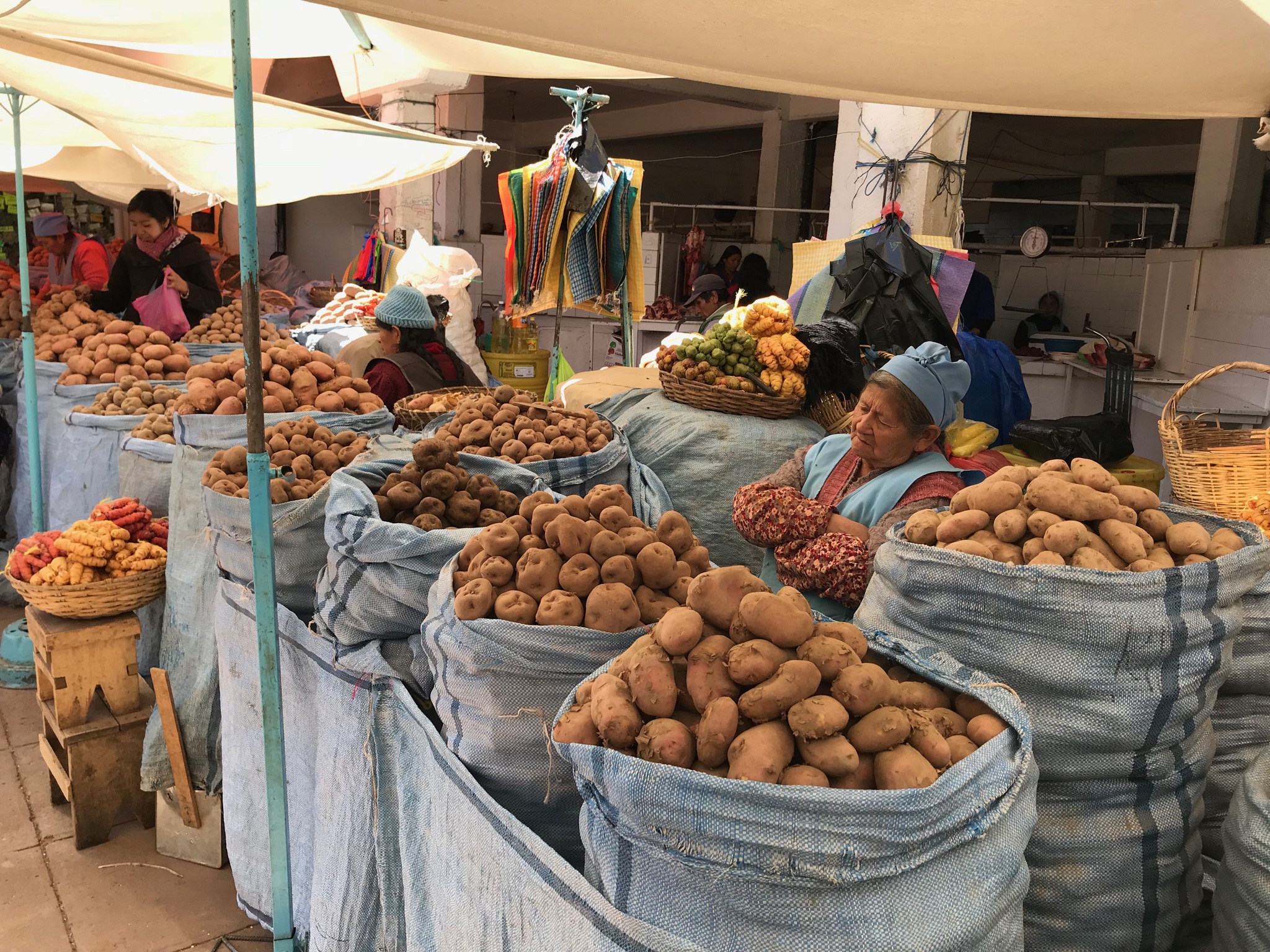 Sucre et la Bolivie, pays aux mille cultures !